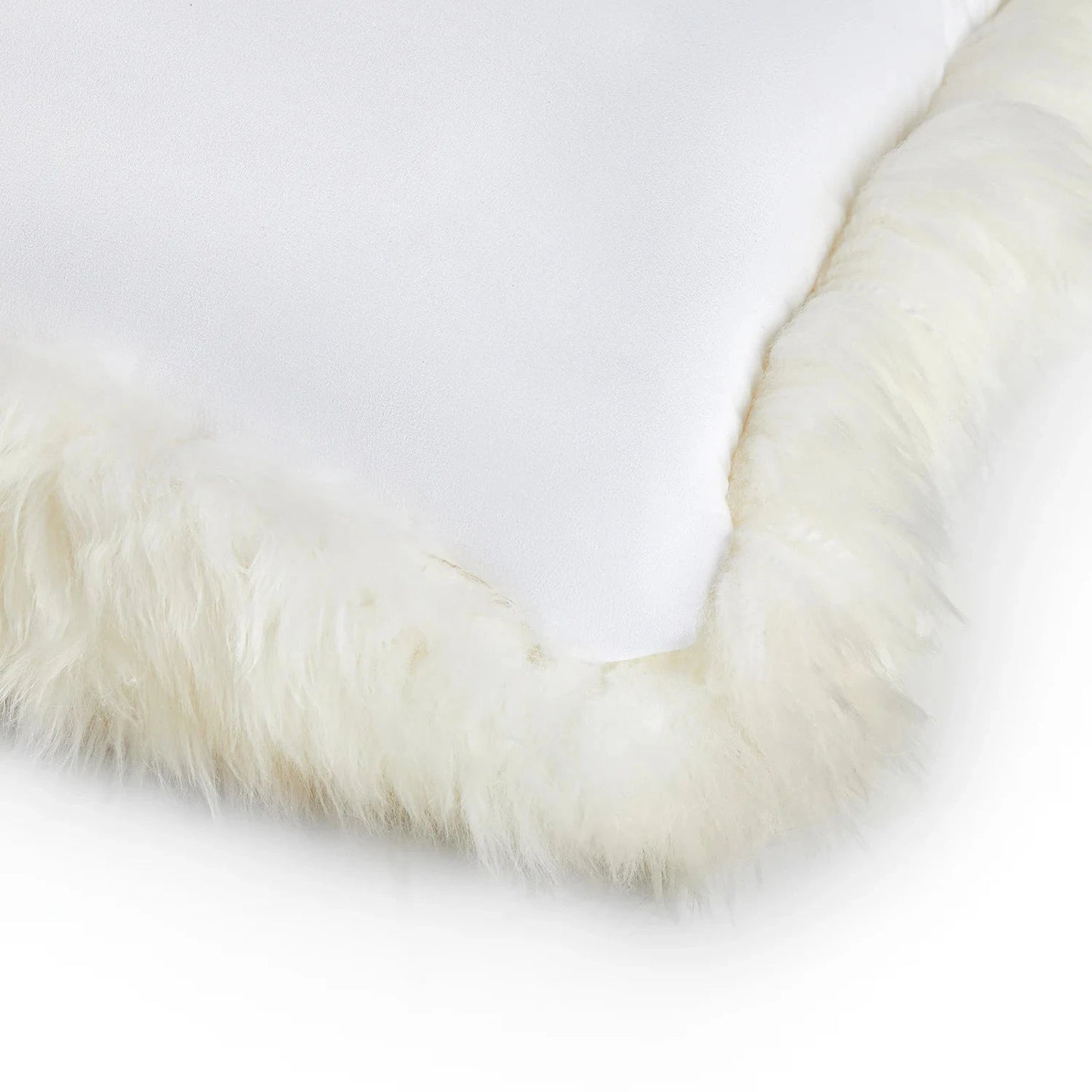 Homio Decor Australian Sheepskin Pillowcase - Ivory
