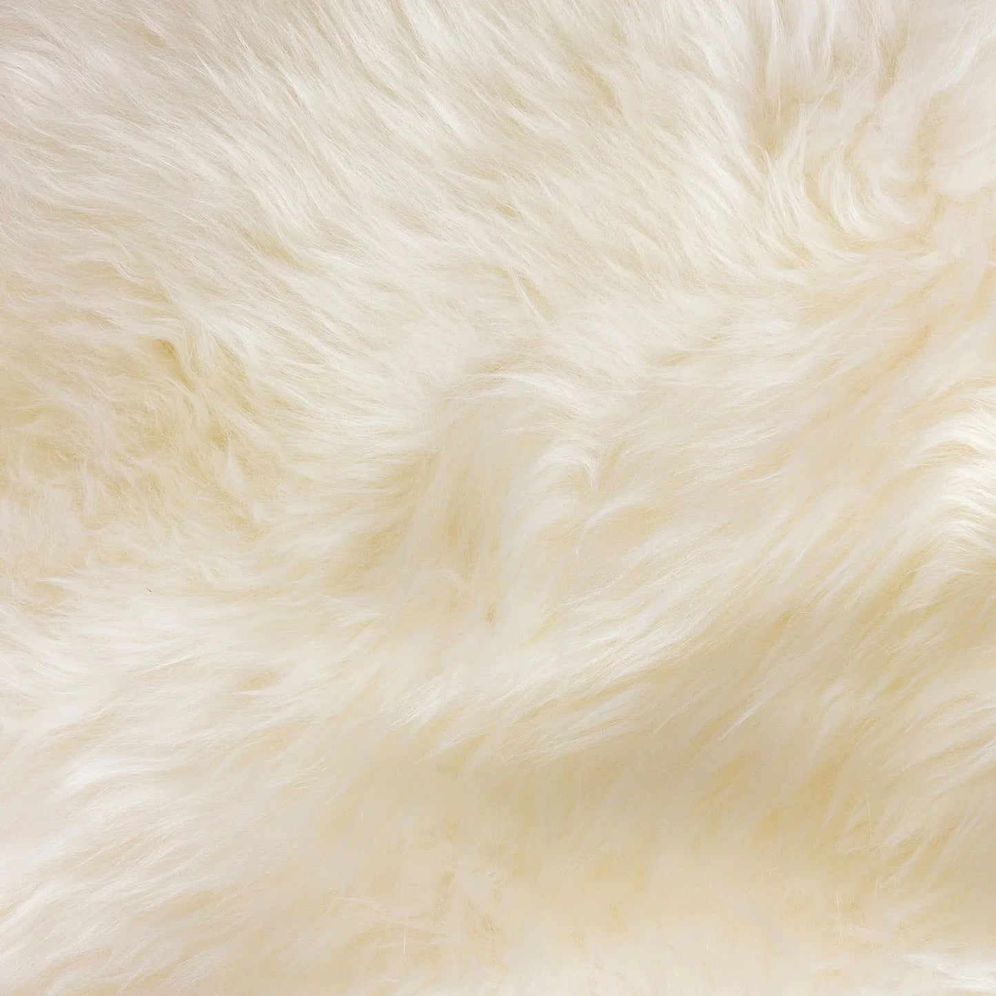 Homio Decor Australian Sheepskin Rug (Single)