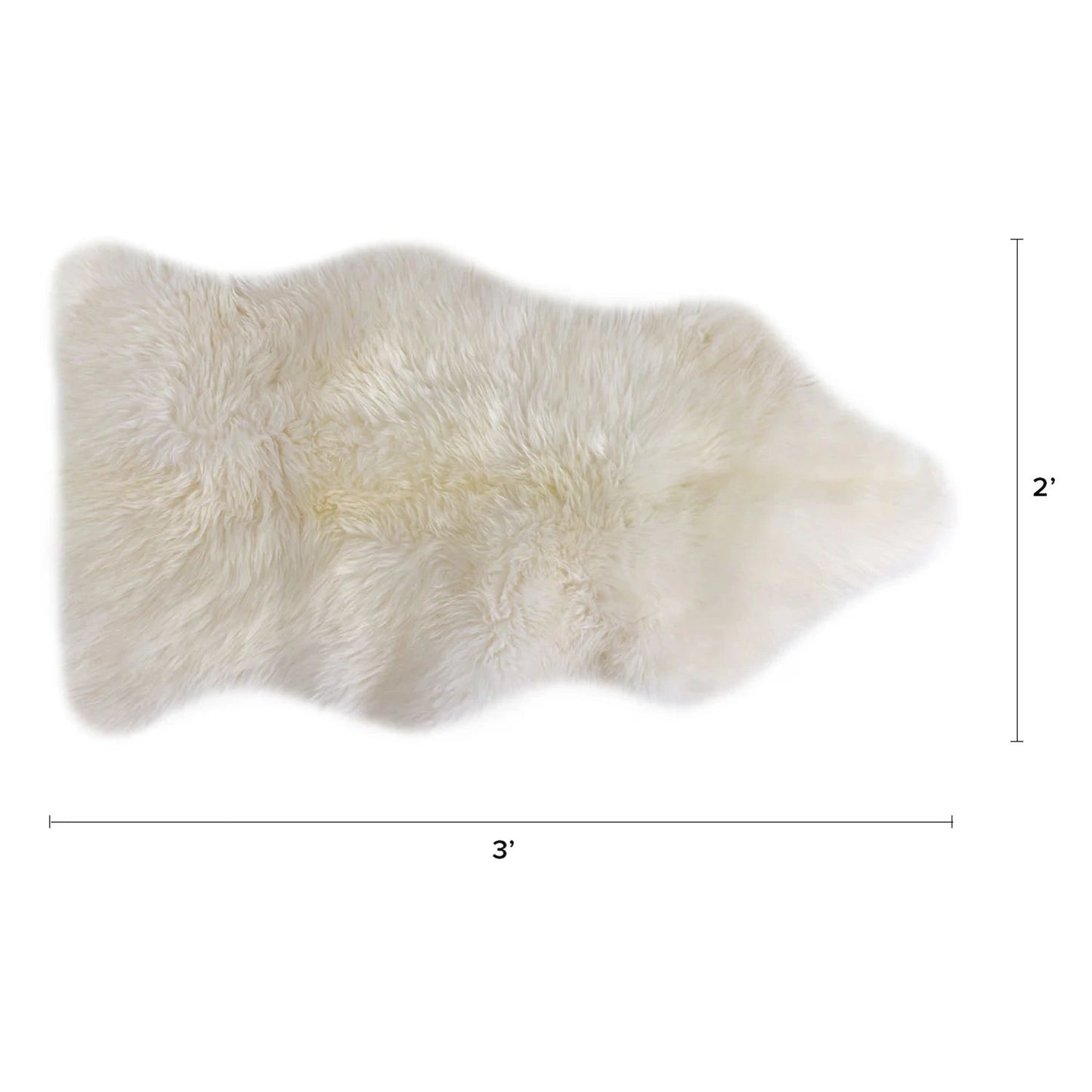 Homio Decor Australian Sheepskin Rug (Single)