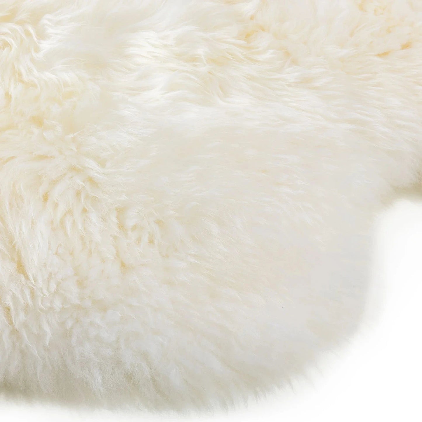Homio Decor Australian Sheepskin Rug (Single)