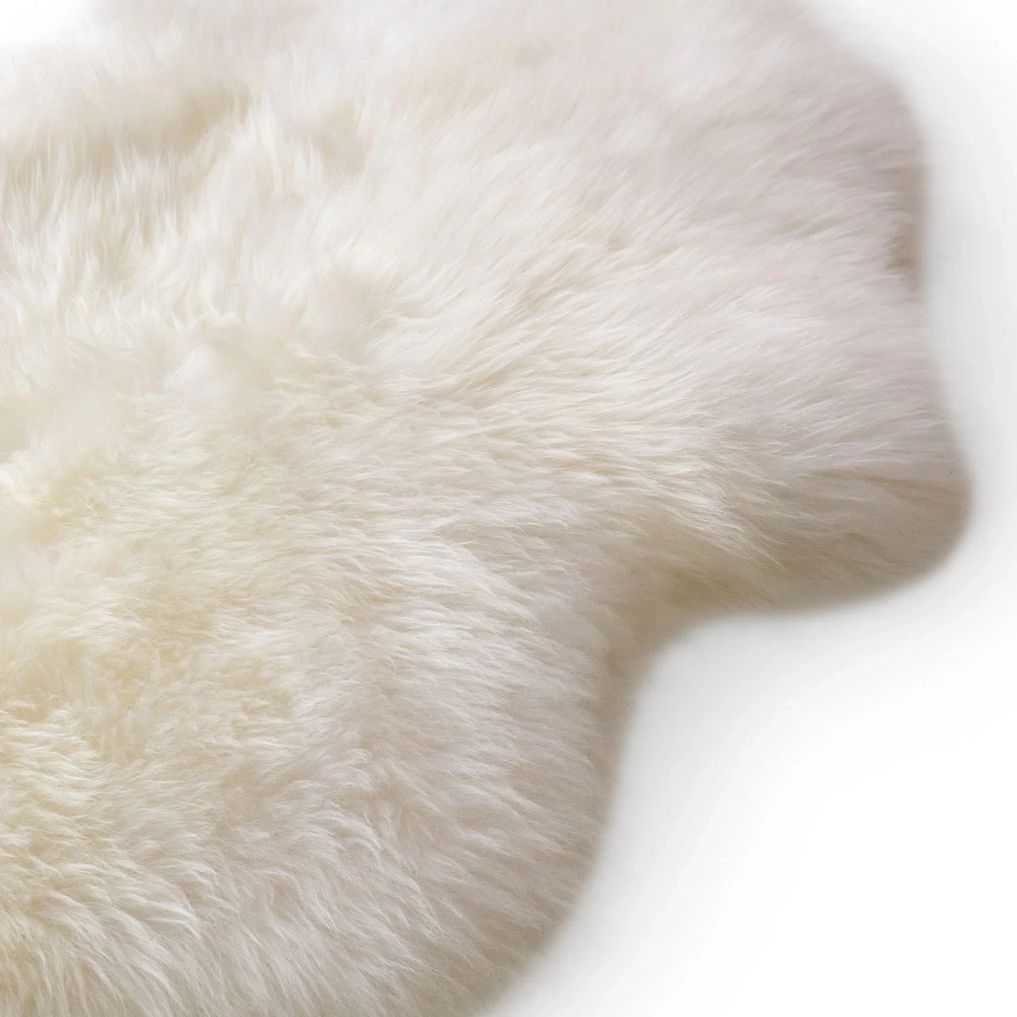 Homio Decor Australian Sheepskin Rug (Single)