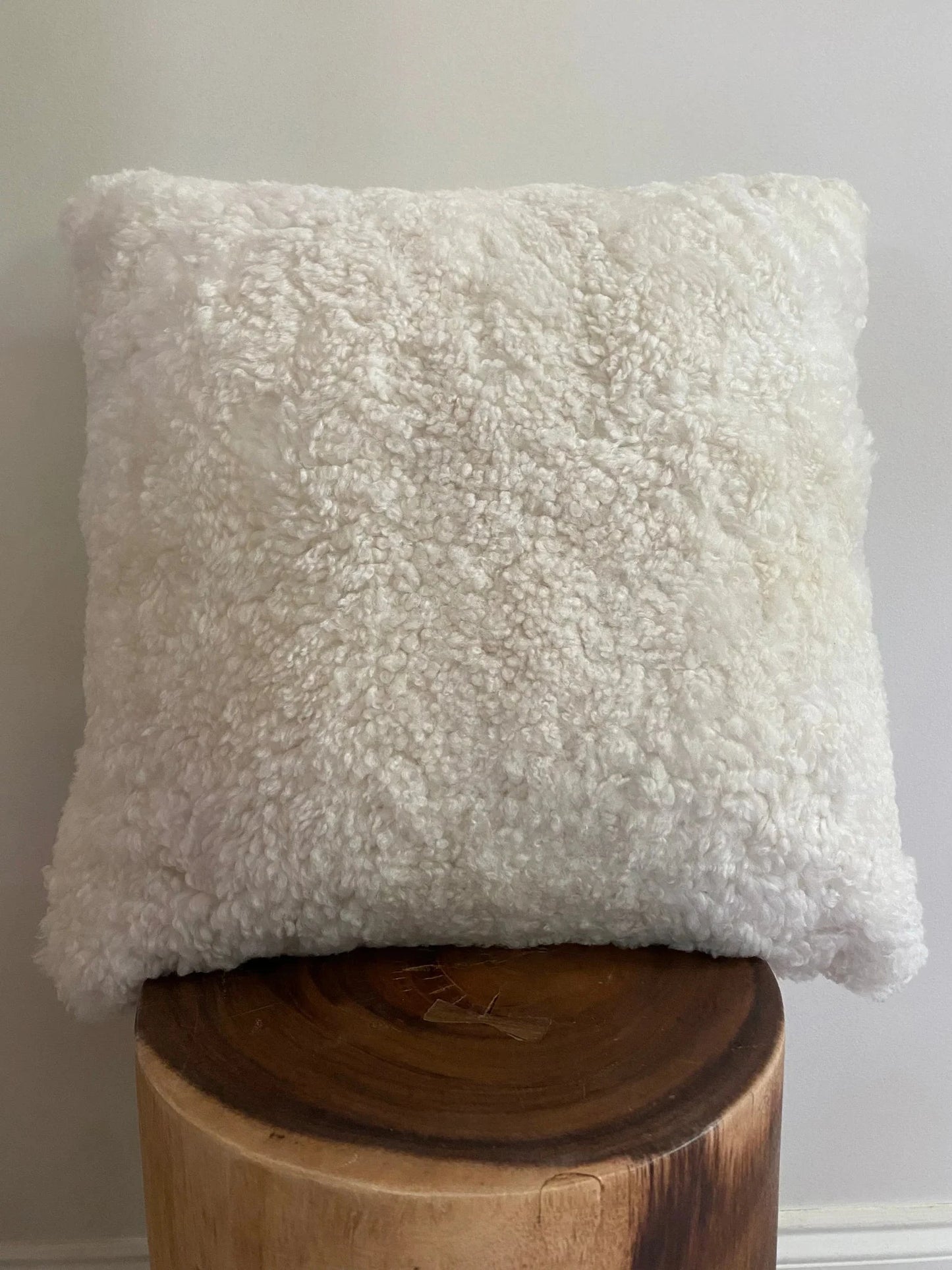 Homio Decor Curly Shearling Sheepskin Pillowcase