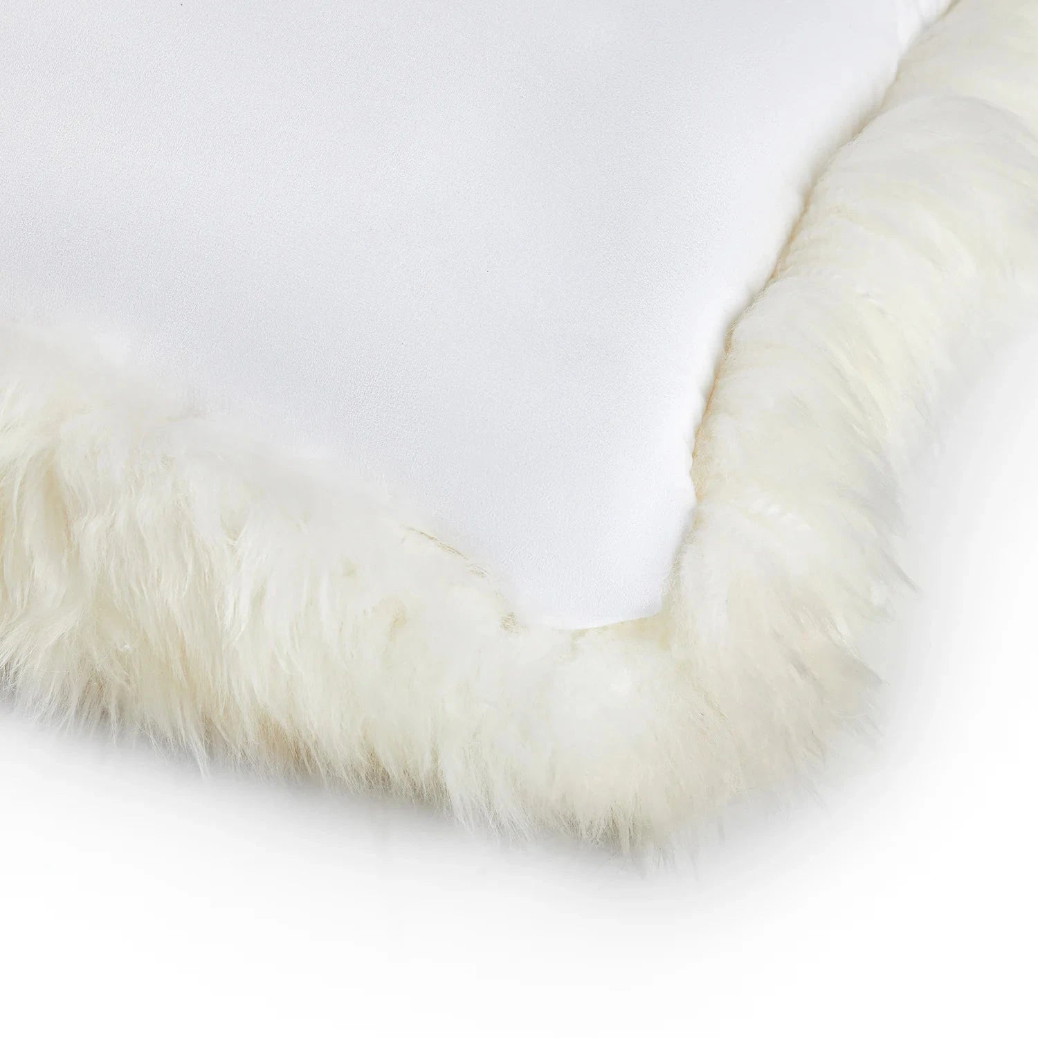 Homio Decor Australian Sheepskin Pillowcase - Ivory