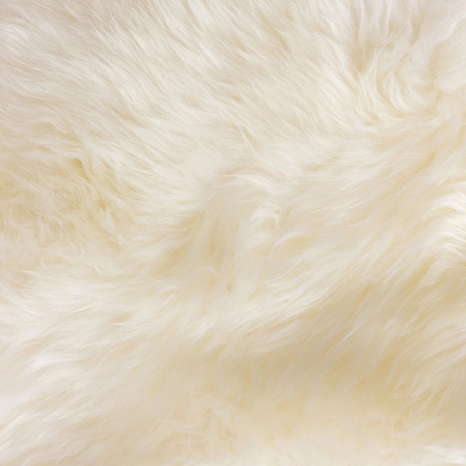 Homio Decor Australian Sheepskin Rug (Single)