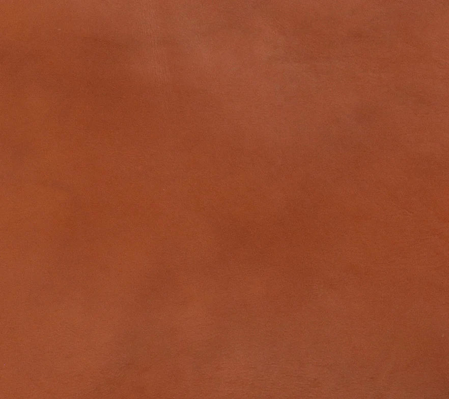 Homio Decor Cognac Savanna Lounge Chair