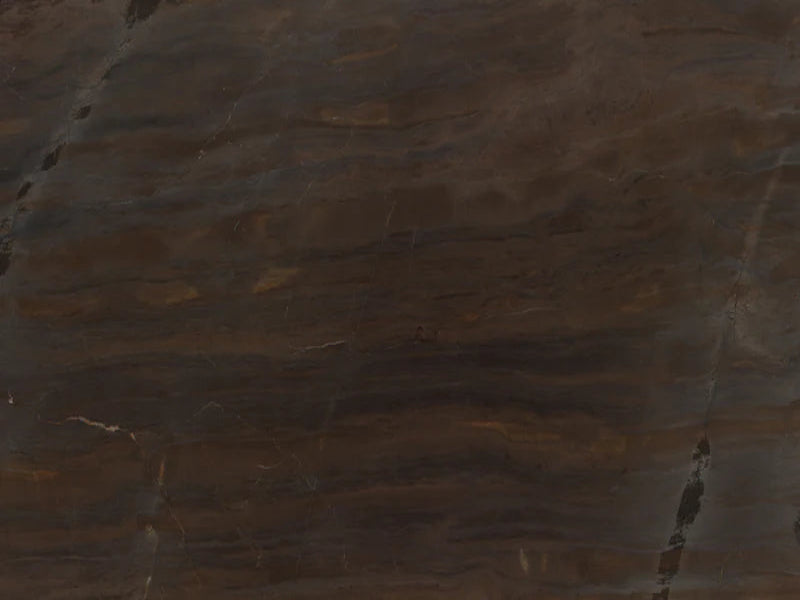 Elegant Brown
