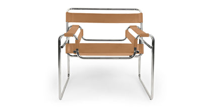 Homio Decor Modernist Tubular Lounge Chair