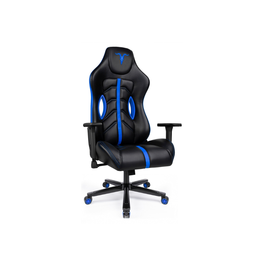 Homio Decor Office Blue 4D Gaming Chair with Racing Wheels