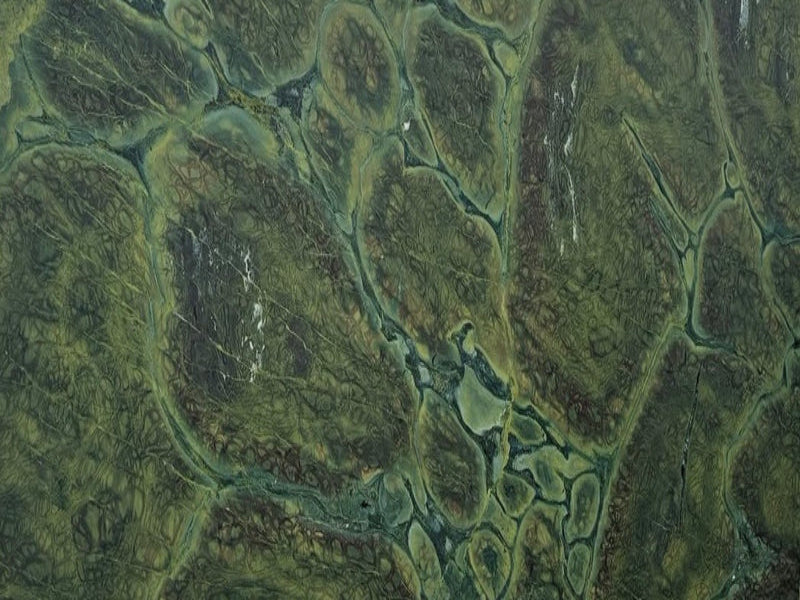 Turtle Marble